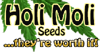 Logo HoliMoli